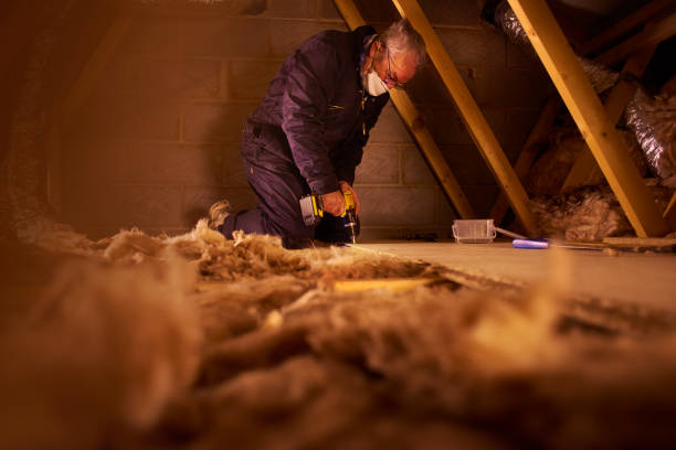 Best Blown-In Insulation  in Orangeburg, NY